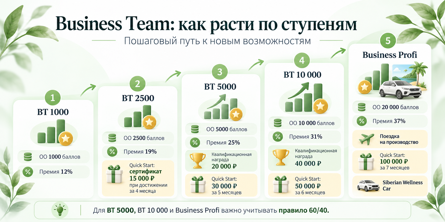 Ступени Business Team Siberian Wellness от BT 1000 до Business Profi — инфографика