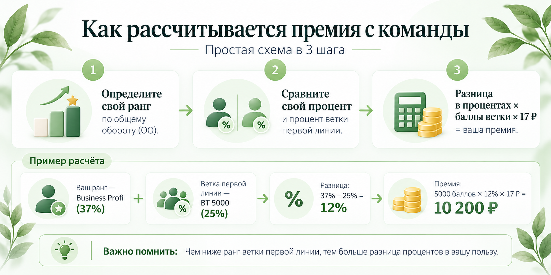 Как рассчитывается премия с команды Siberian Wellness — инфографика