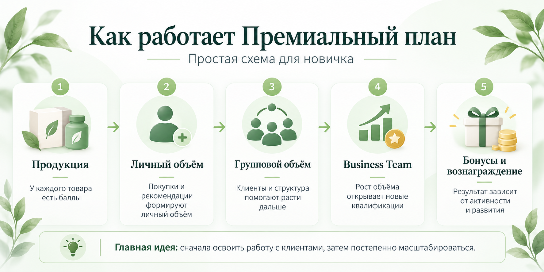 Как работает Премиальный план Siberian Wellness — инфографика